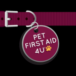 Pet First Aid 4U Logo